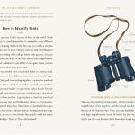 Junior Birder's Handbook