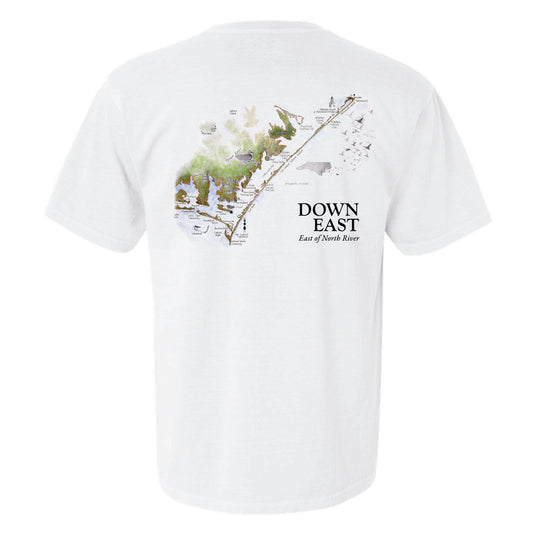 DE Color Map 2026 White SS