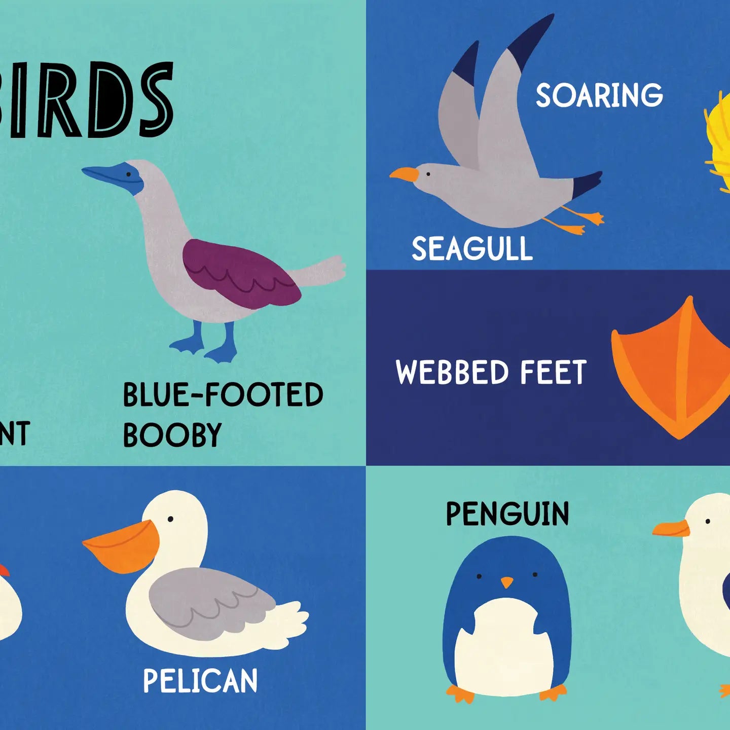 My First 100 Ocean Words