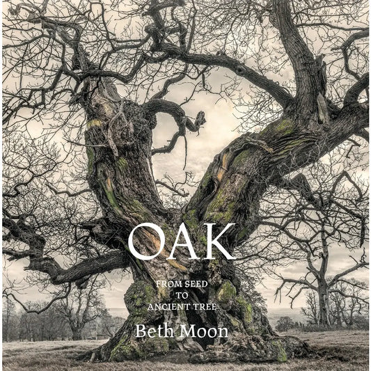 Oak: From Seed to Ancient tree, Hardcover