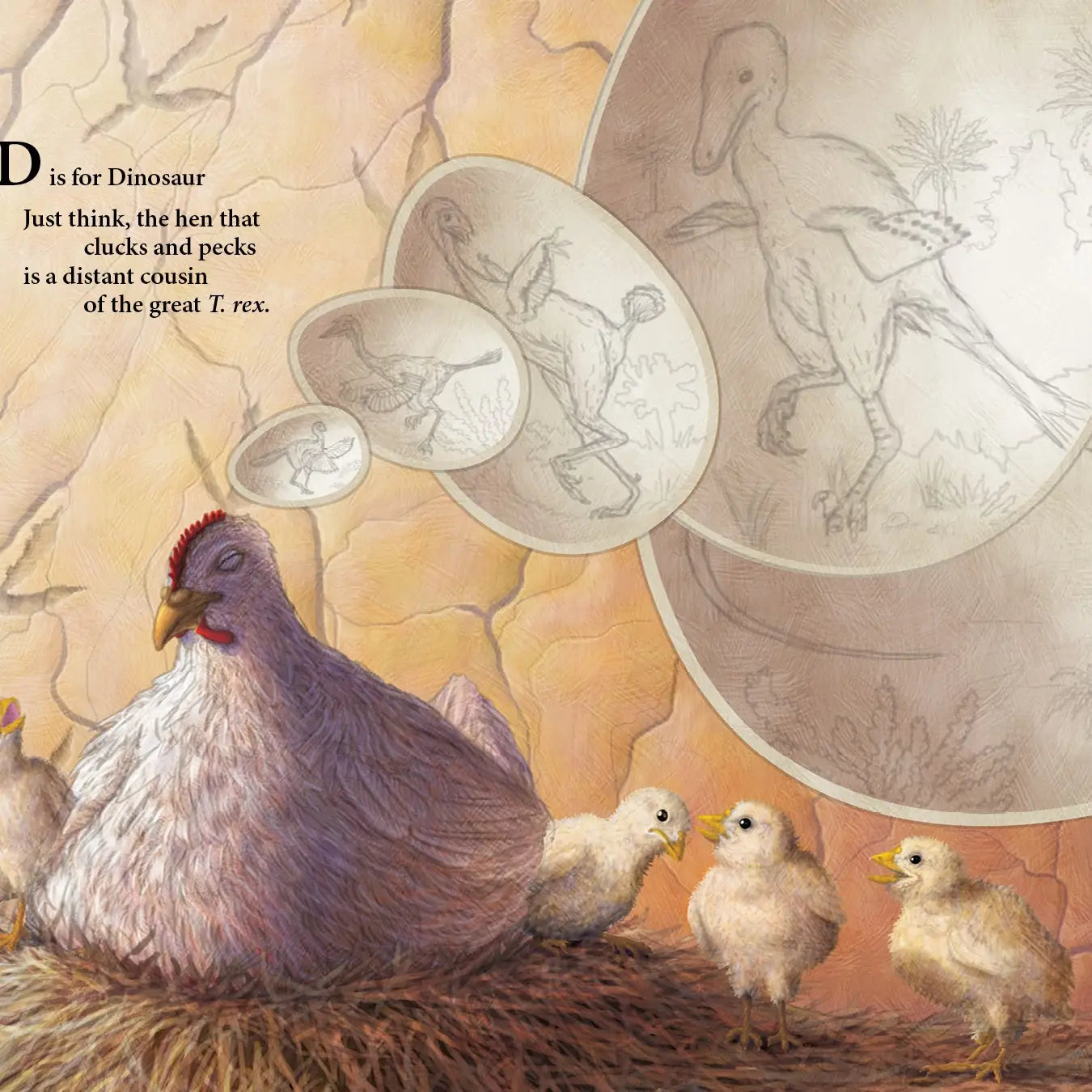 F is for Feathers
