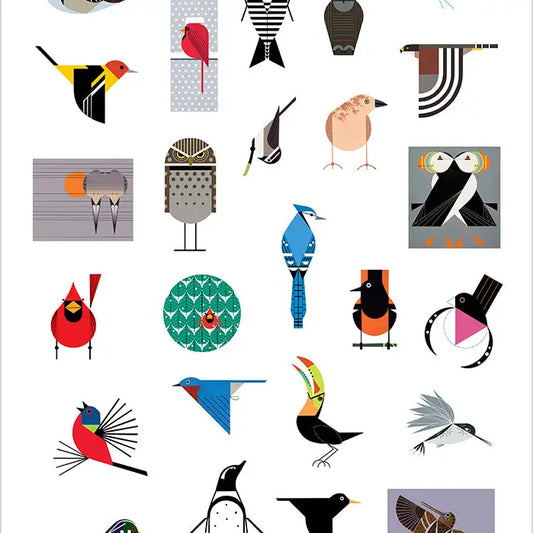 Birds Sticker Book