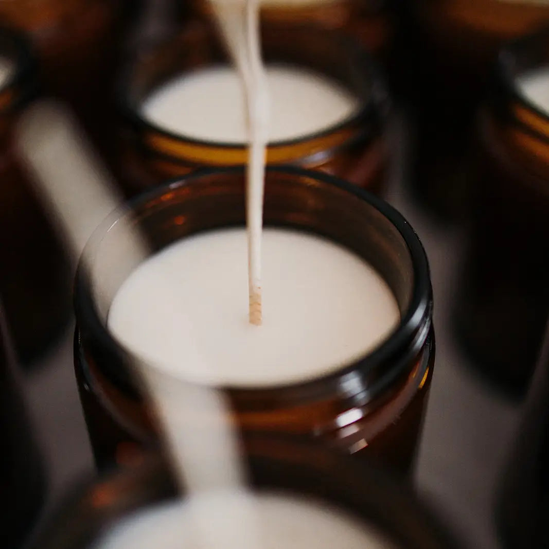 Loon Amber Natural Soy Candle, White Birch