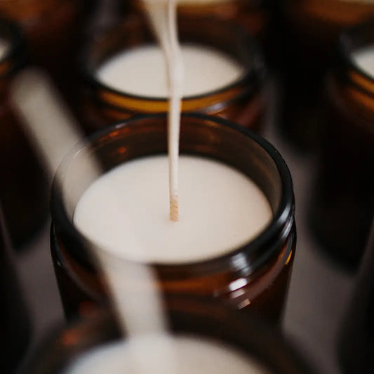 Loon Amber Natural Soy Candle, White Birch