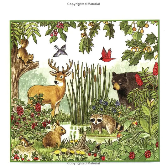 Berries, Nuts & Seeds: Take-Along Guide