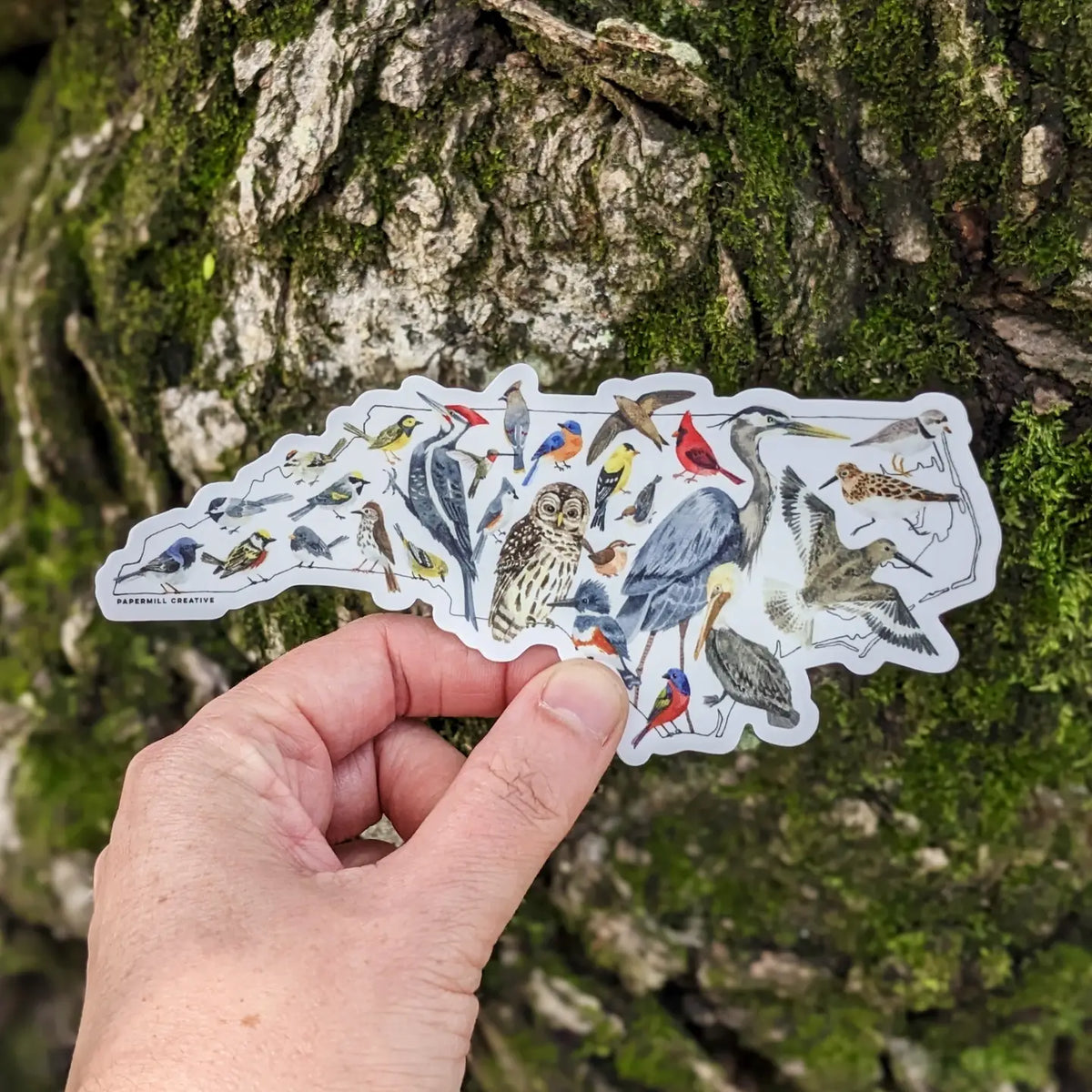NC Birds vinyl sticker-large