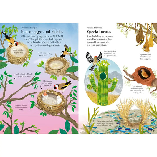 Little First Stickers Birds: Usborne