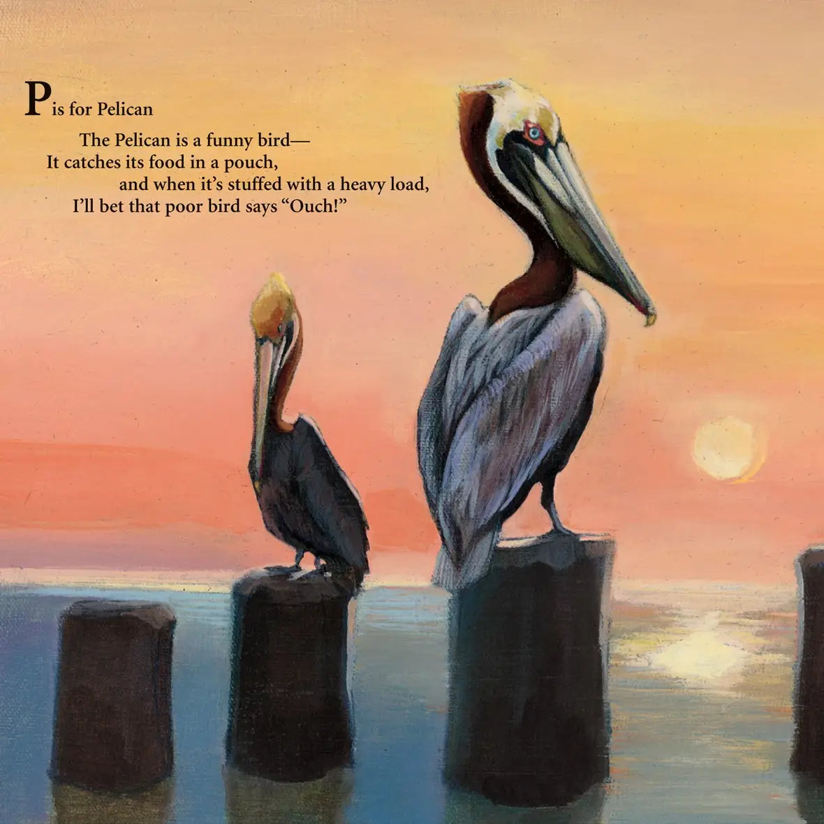 P is for Pelican
