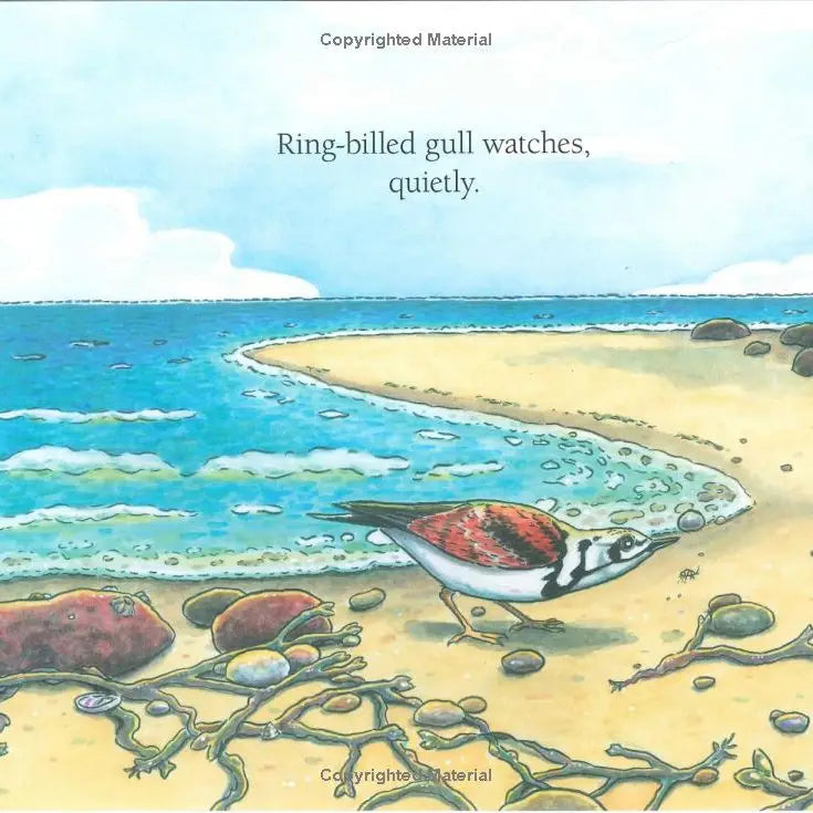 Who's At the Seashore?