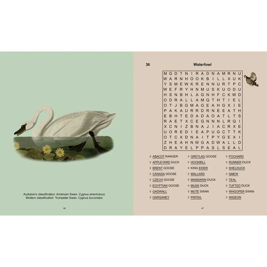 Audubon's Birds Wordsearch by Erick Saunders