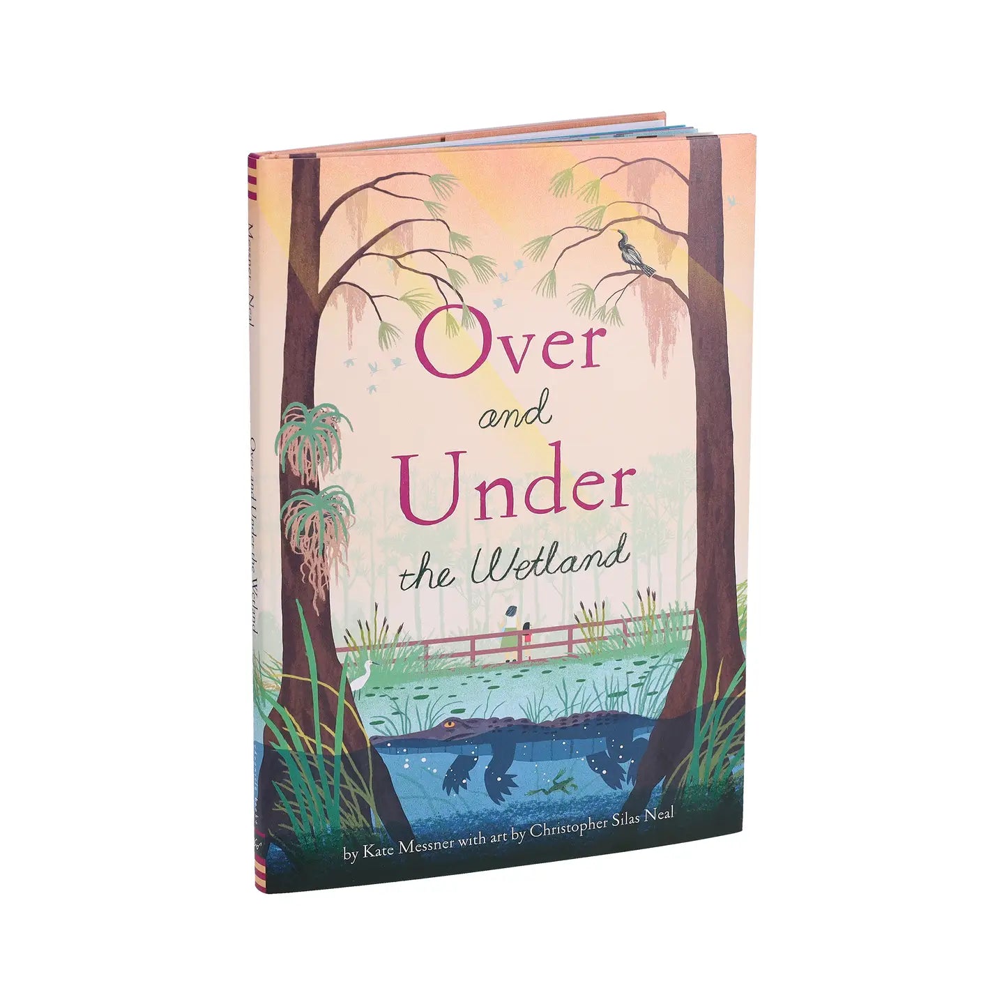 Over and Under the Wetland