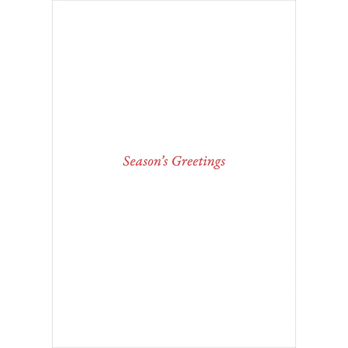 Festive Bough Small Boxed Holiday Cards