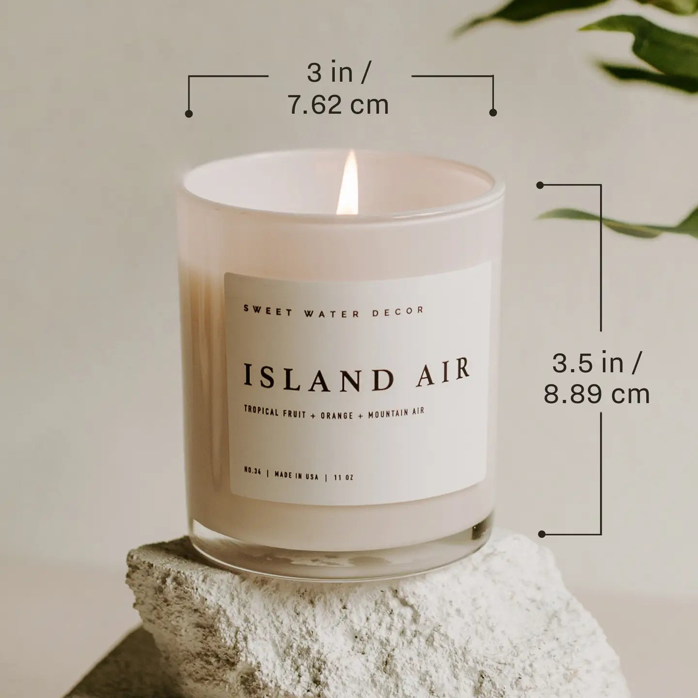 Candle, Salt & Sea 11 oz Soy