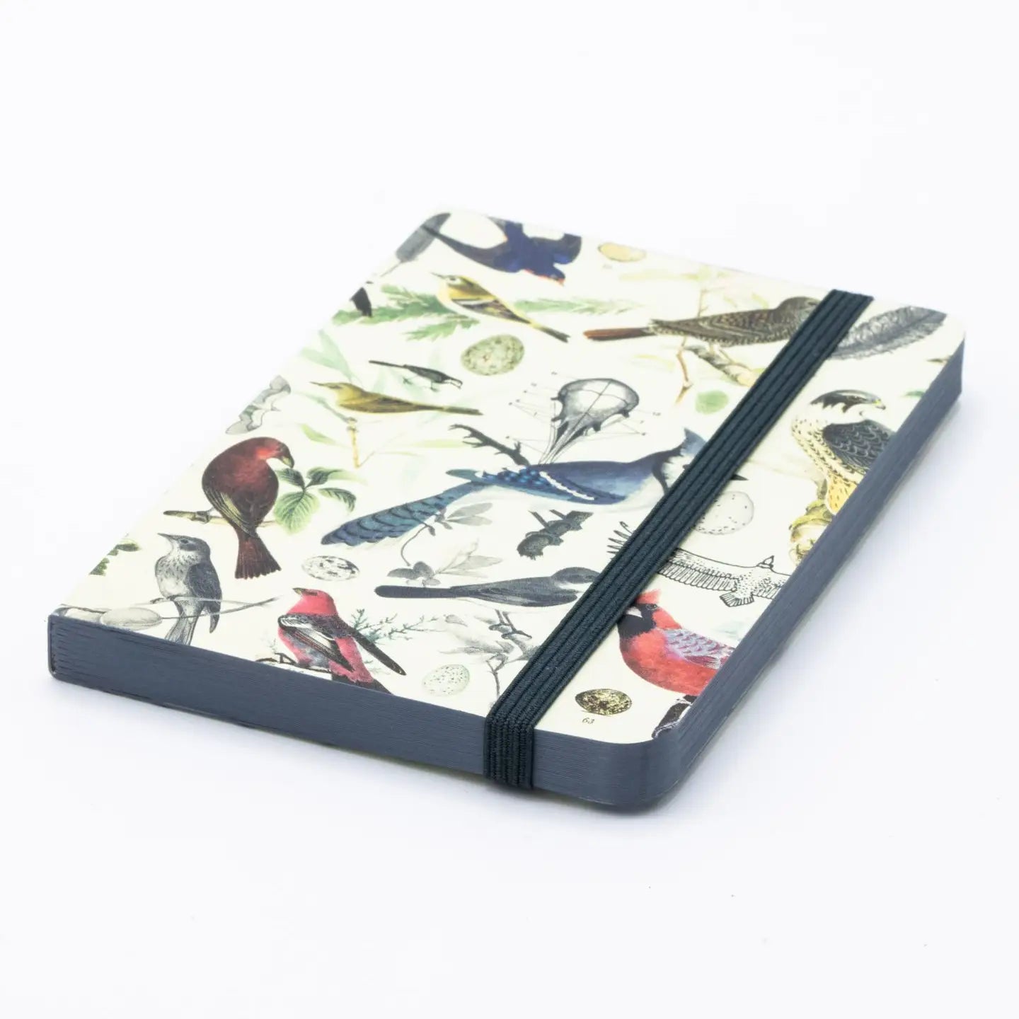 Birds & Feathers Observation Softcover