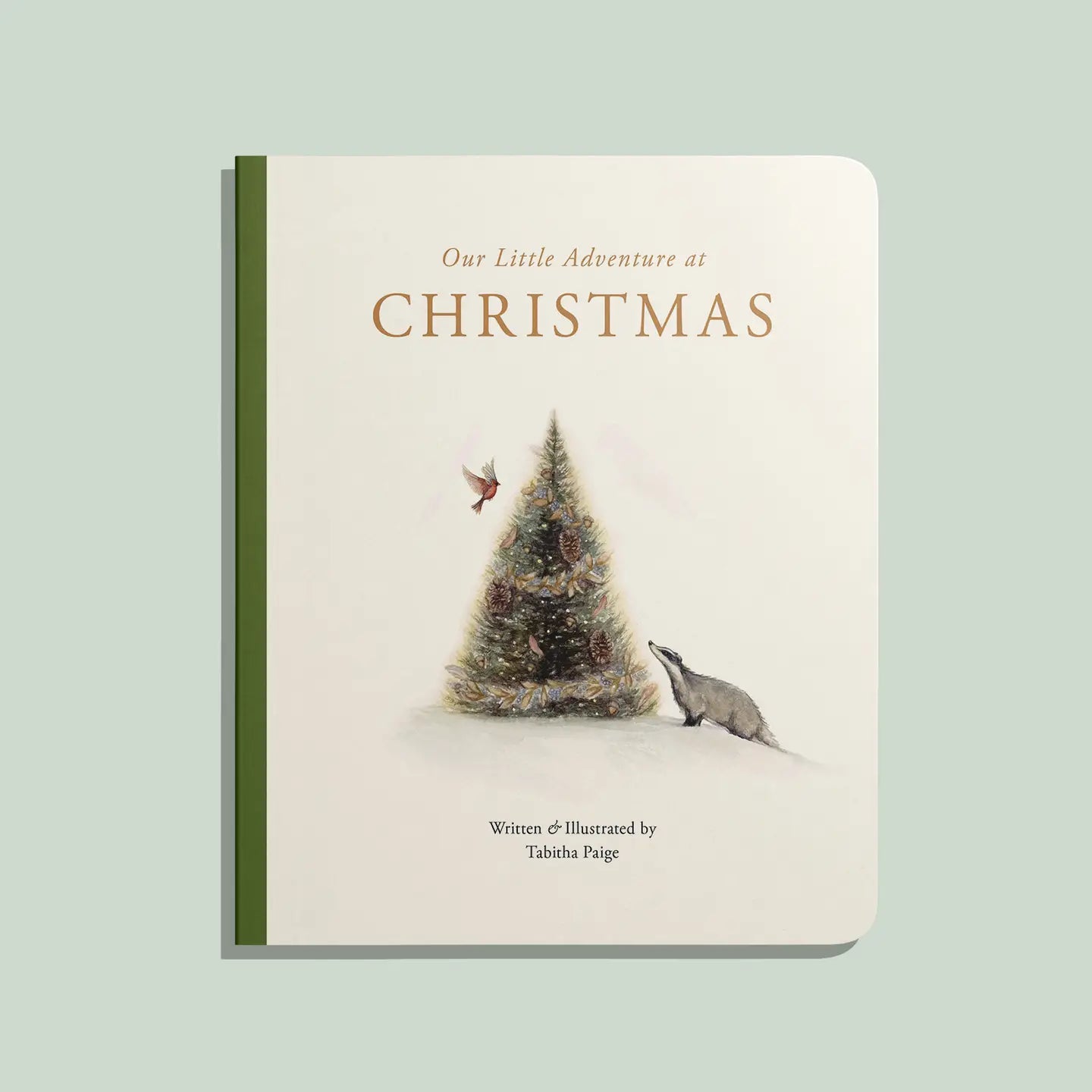 Our Little Adventure at Christmas (Baby's First Christmas)