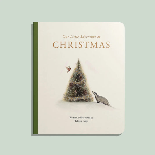 Our Little Adventure at Christmas (Baby's First Christmas)