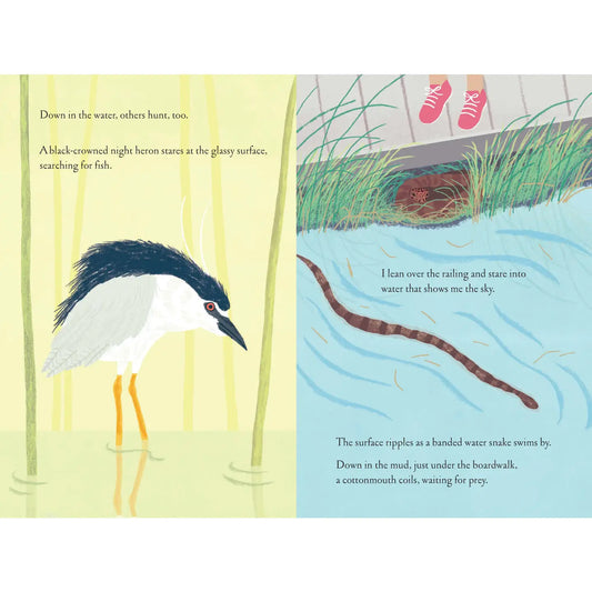 Over and Under the Wetland