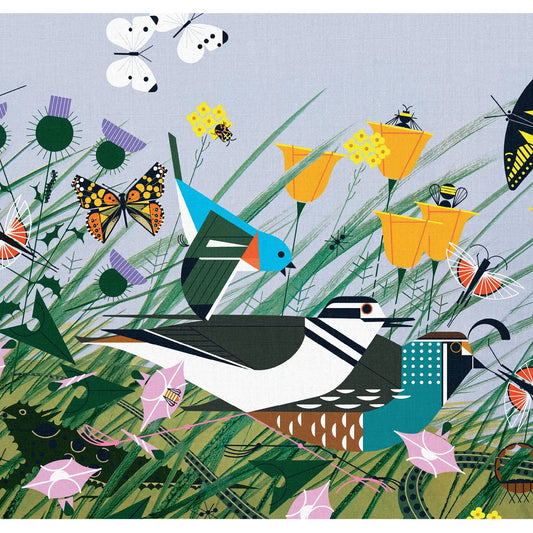 Once There was a Field notecard