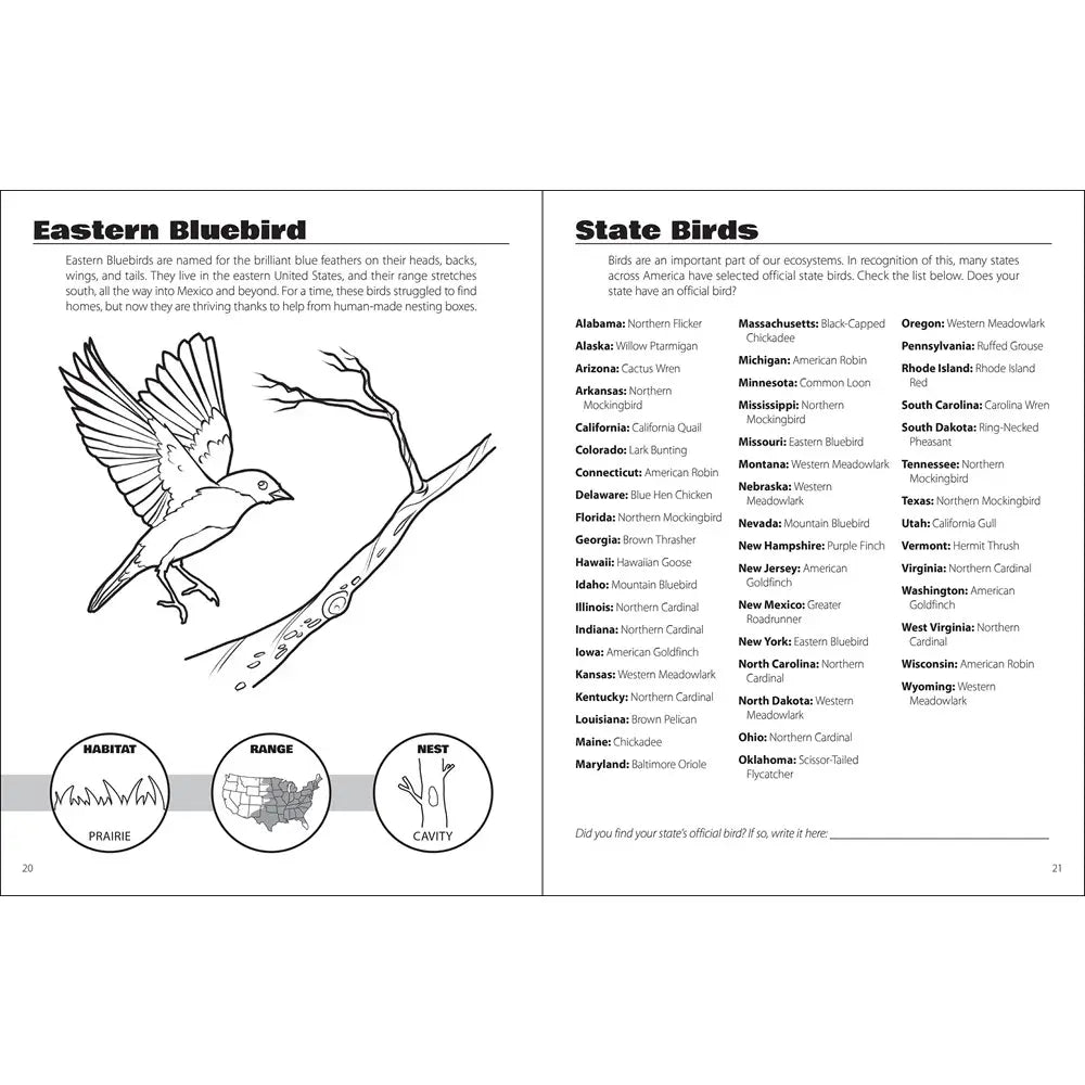 Birds & Friends Activity Book