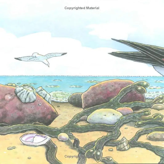 Who's At the Seashore?