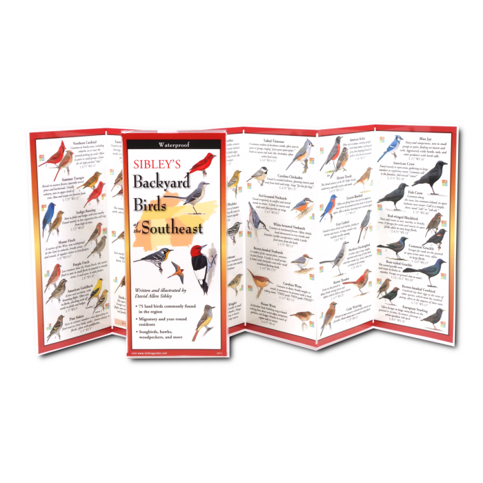 Sibley’s Backyard Birds of the Southeast