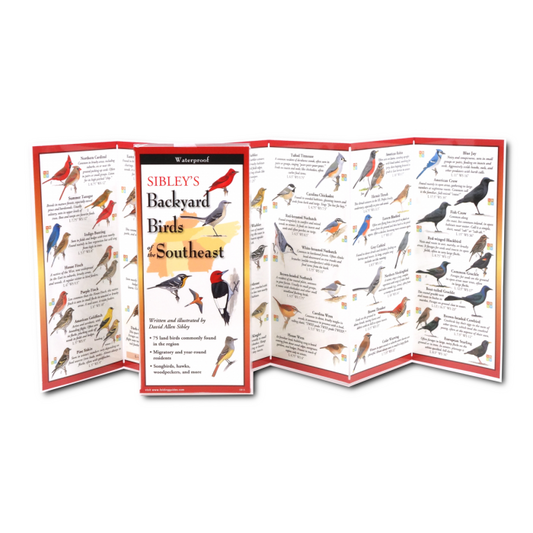 Sibley’s Backyard Birds of the Southeast