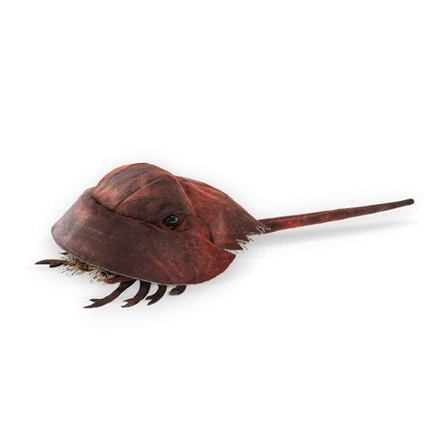 Horseshoe Crab