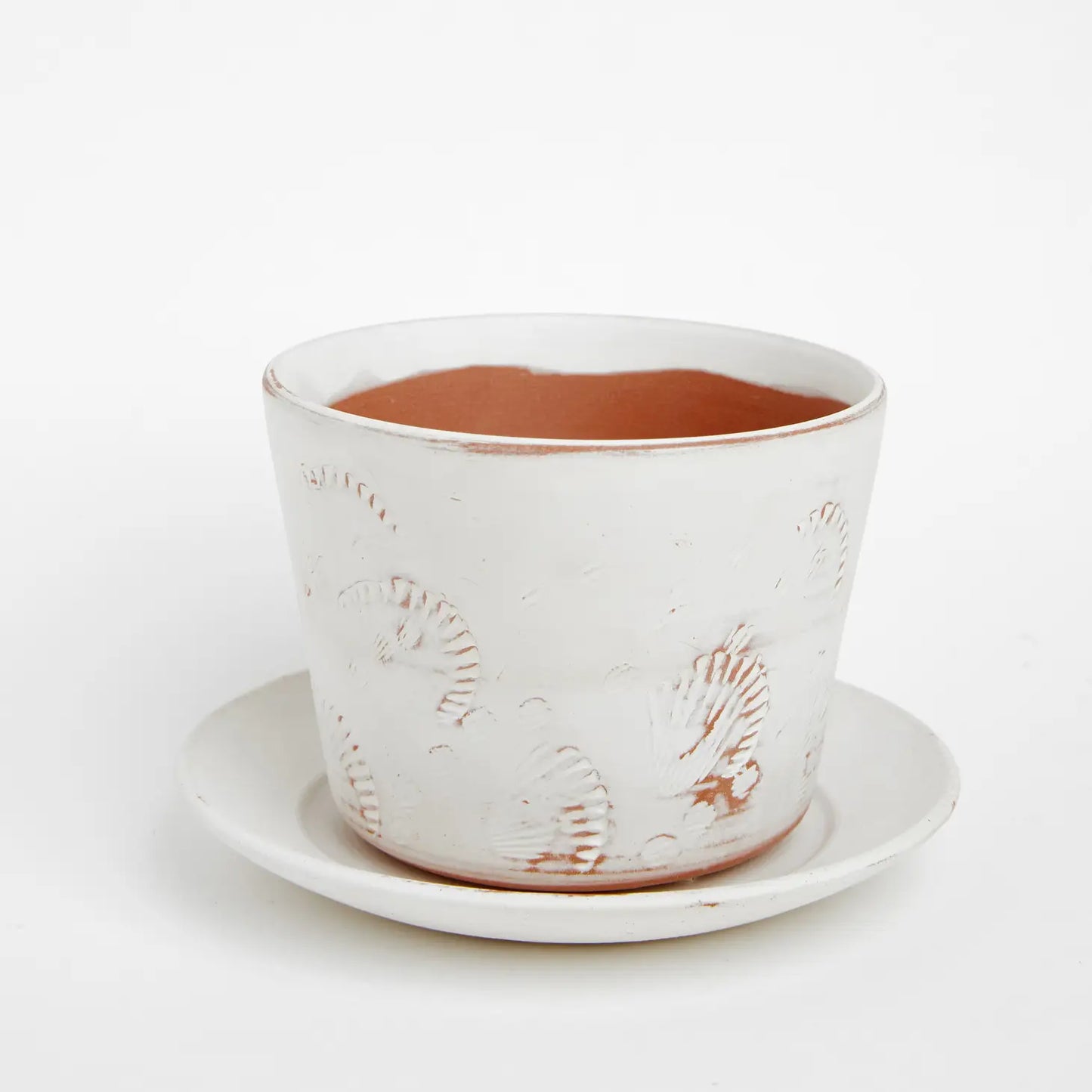 Clove Shells White Planter Pot & Saucer