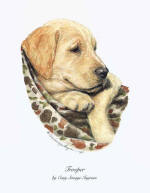 CSI "Trooper" by Cary Savage-Ingram