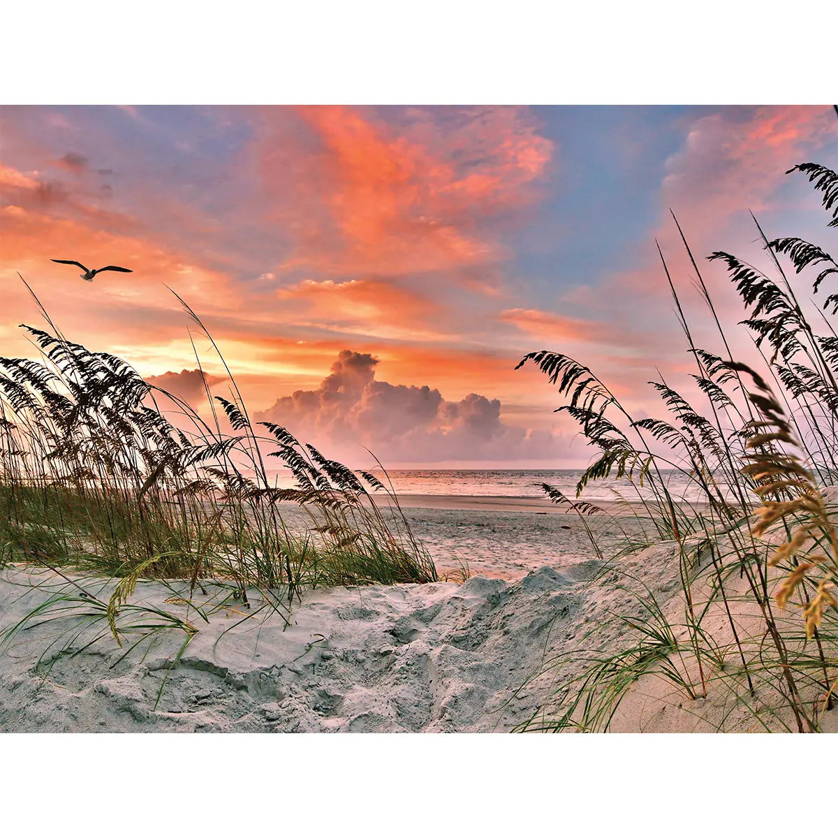 Dancing Sea Oats