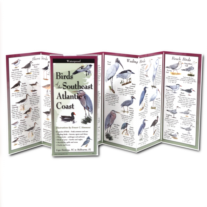 Birds of the Southeast Atlantic Coast Waterproof Folding Field Guide