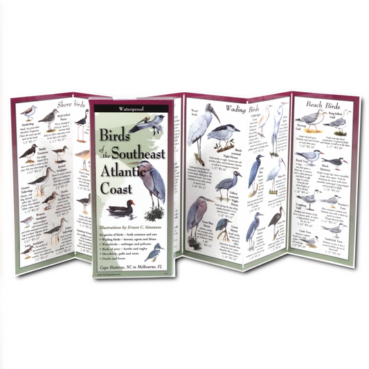 Birds of the Southeast Atlantic Coast Waterproof Folding Field Guide