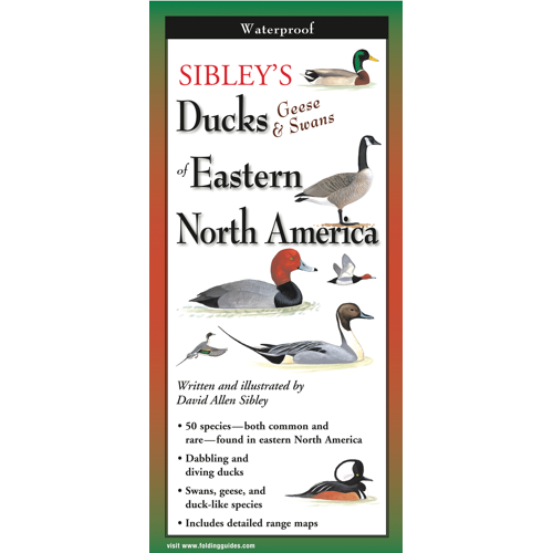 Sibley's Ducks, Geese & Swan of Eastern North America Waterproof Folding Field Guide
