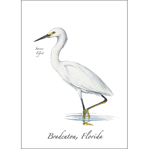 Snowy Egret Greeting Card