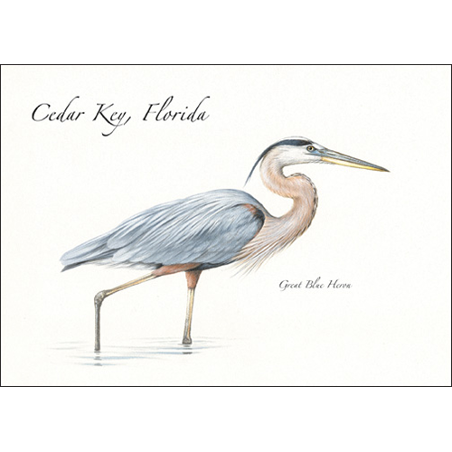 Great Blue Heron Greeting Card