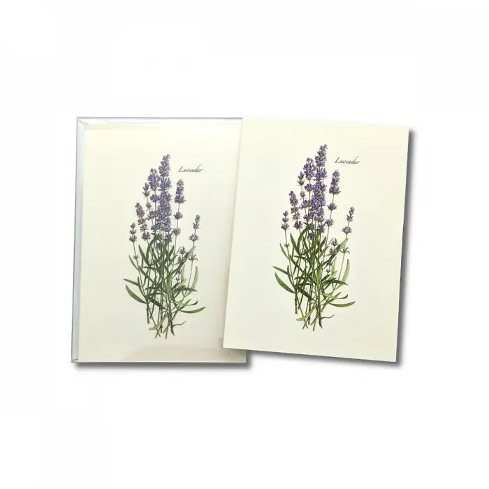 Lavender Note Cards