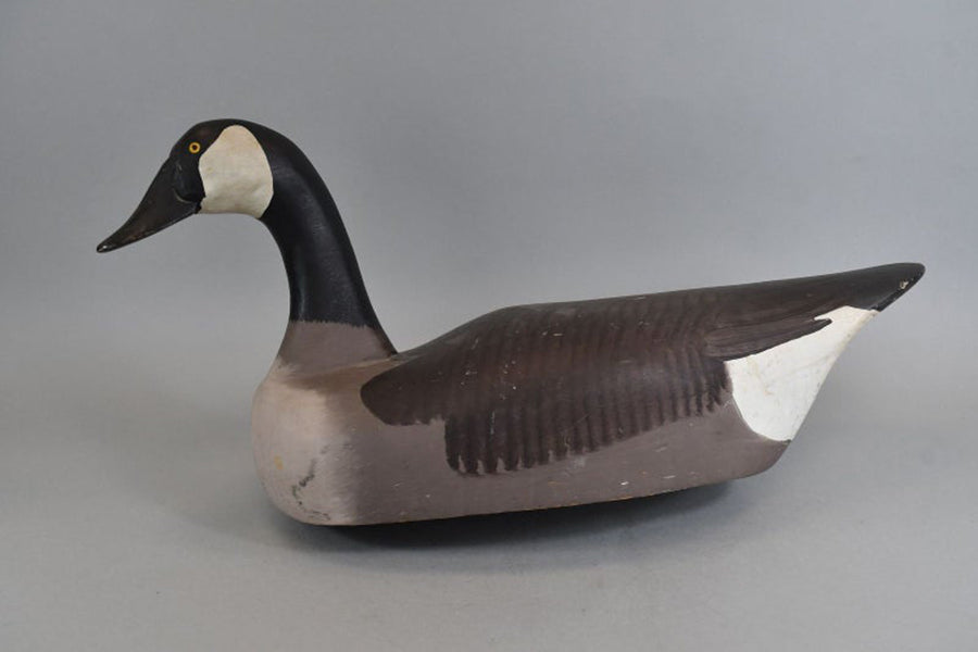 MW-85 Goose