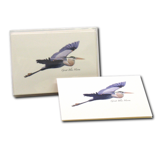 Great Blue Heron in Flight - Note Cards
