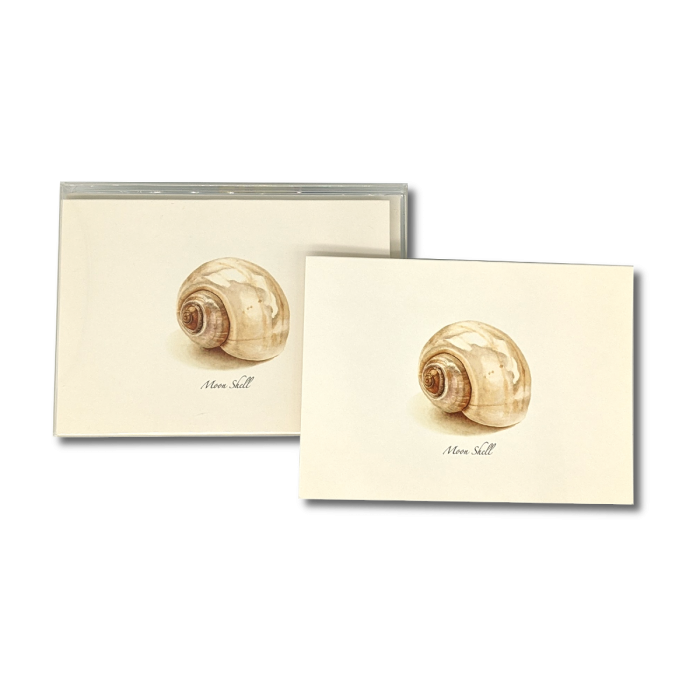 Moon Shell - Box Cards
