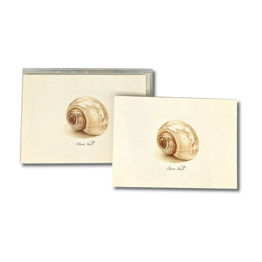 Moon Shell - Box Cards