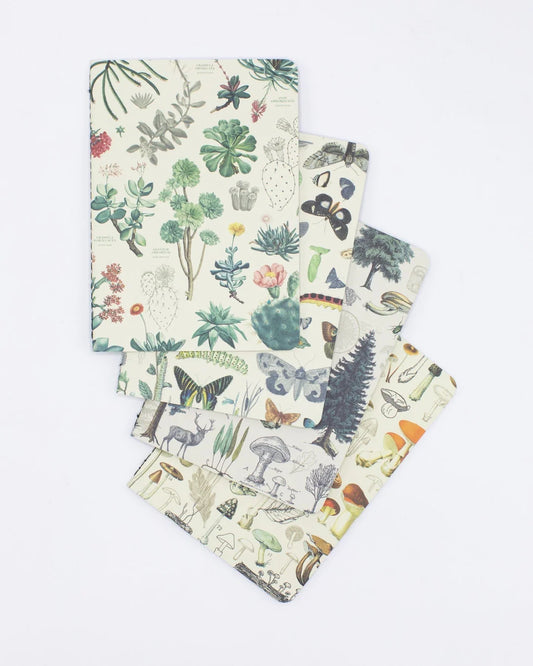 Nature Pocket Notebook - 4 Pack