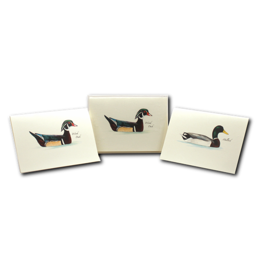 Sibley's Duck Boxed Note Assortment