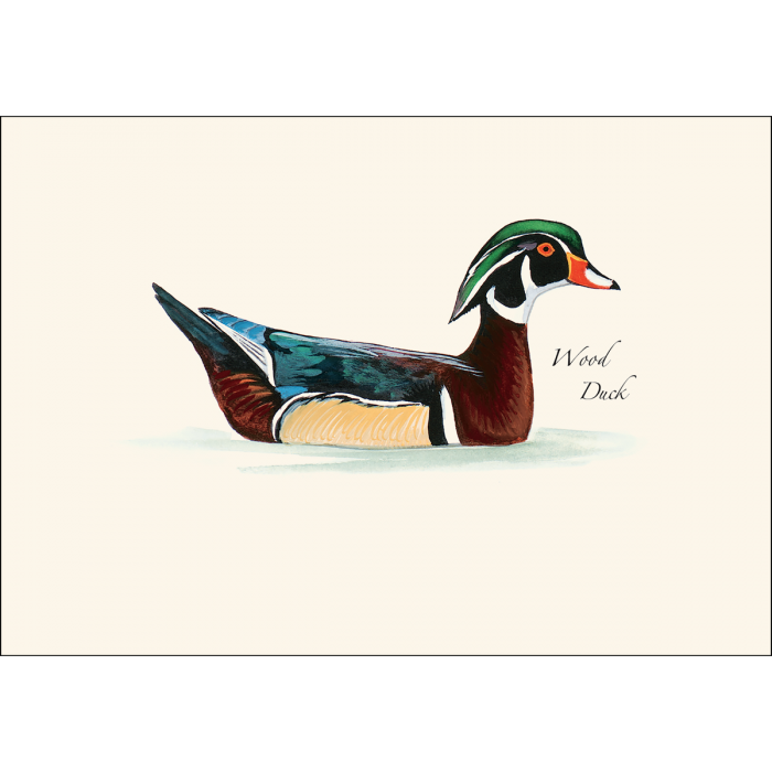 Sibley's Duck Boxed Note Assortment
