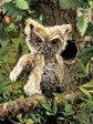 Screech Owl Puppet #2961