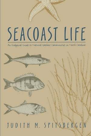 Seacoast Life, By Judith M. Spitsbergen