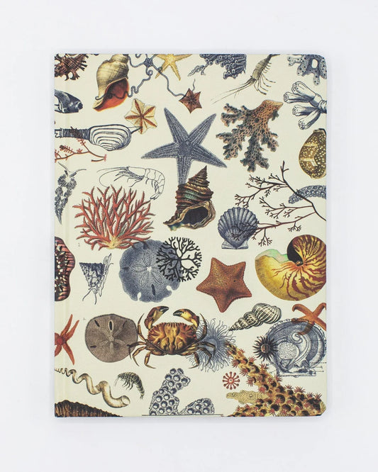 Shallow Seas Pl 2 Hardcover Notebook - Dot Grid
