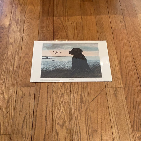 Still by David Lawrence - numbered & signed print