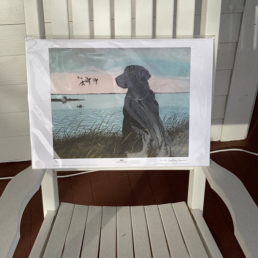 Still by David Lawrence - numbered & signed print