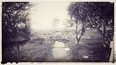 Ocracoke A.D. (After Dorian)