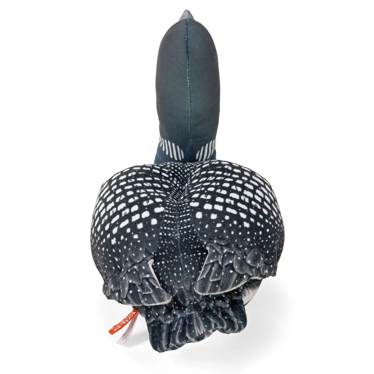 Living Loon 6"